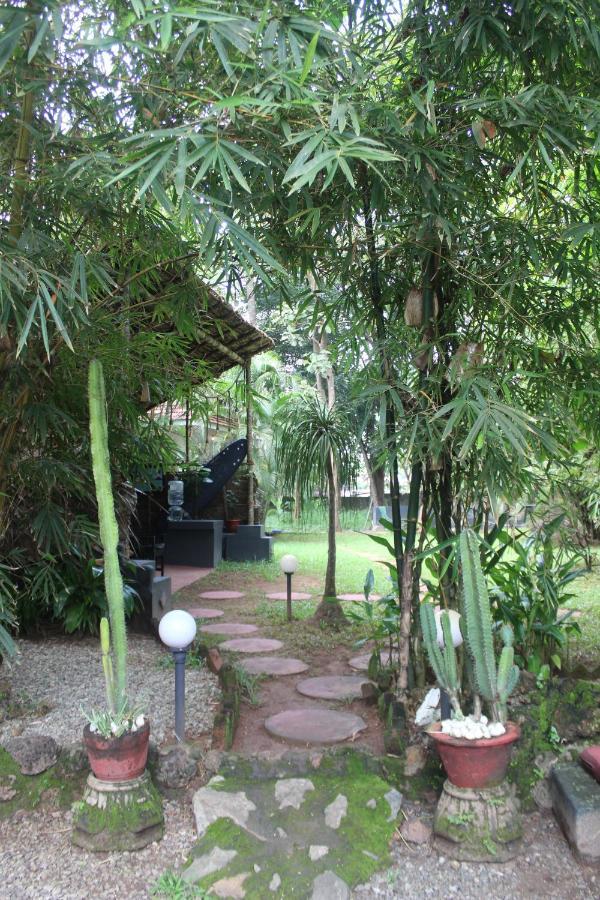 Mint Inside Garden Apartment วาร์คาลา ภายนอก รูปภาพ