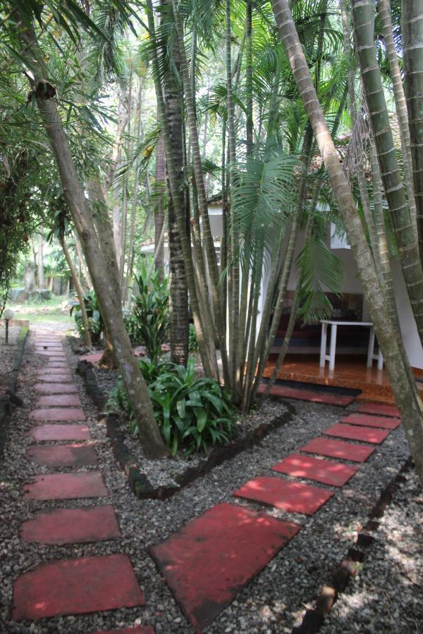 Mint Inside Garden Apartment วาร์คาลา ภายนอก รูปภาพ