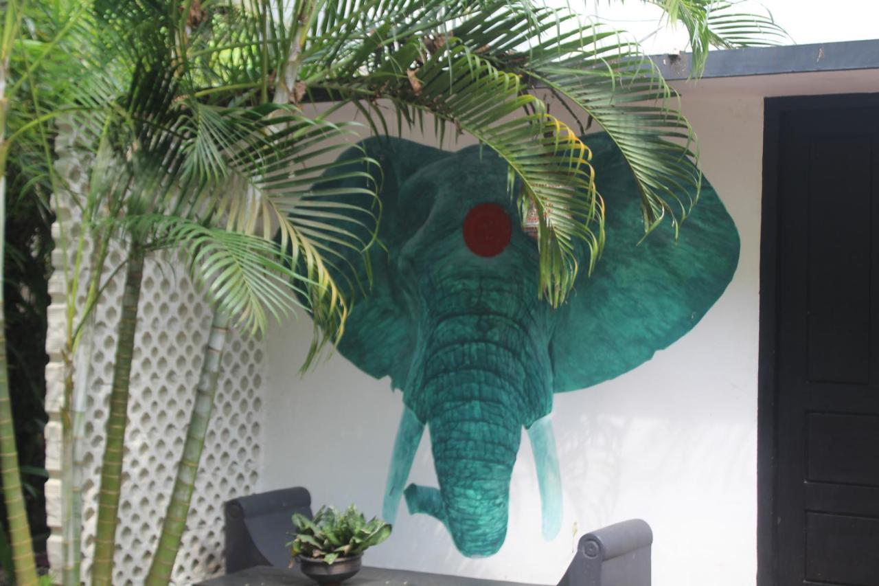 Mint Inside Garden Apartment วาร์คาลา ภายนอก รูปภาพ