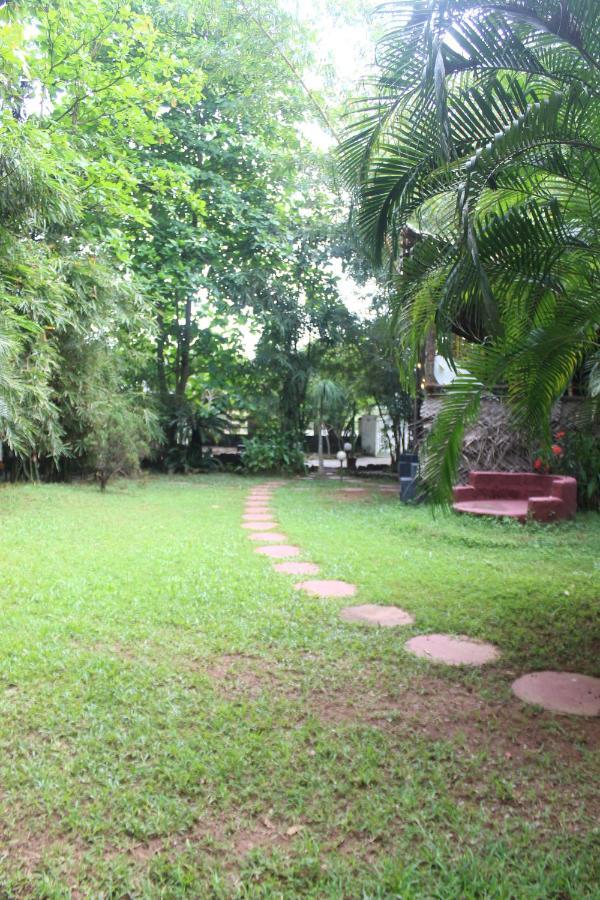 Mint Inside Garden Apartment วาร์คาลา ภายนอก รูปภาพ
