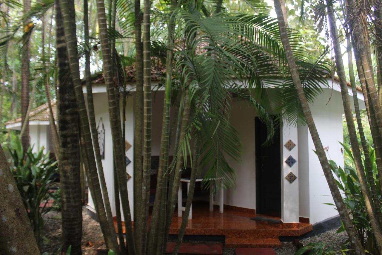 Mint Inside Garden Apartment วาร์คาลา ภายนอก รูปภาพ