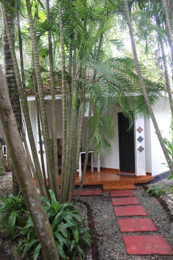 Mint Inside Garden Apartment วาร์คาลา ภายนอก รูปภาพ